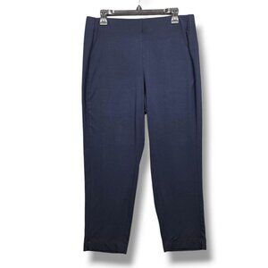 J Jill Wearever Collection Forward Seam Slim Ankle Pants Womens Medium Petite Bl